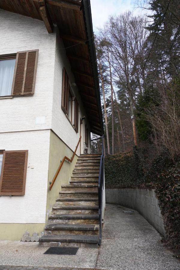 Vorstadt-Appartement Haus Monika Aussere Ragnitz Εξωτερικό φωτογραφία