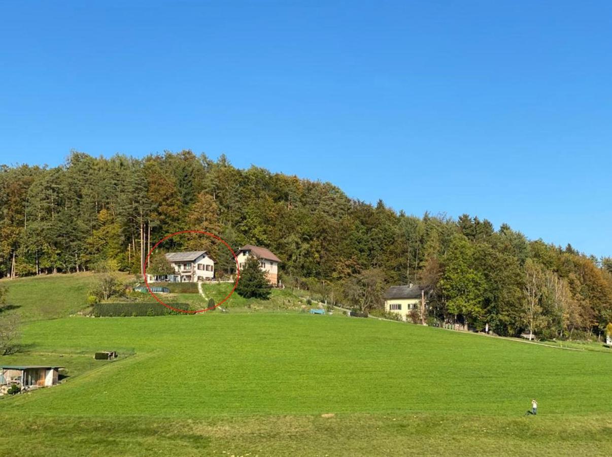 Vorstadt-Appartement Haus Monika Aussere Ragnitz Εξωτερικό φωτογραφία